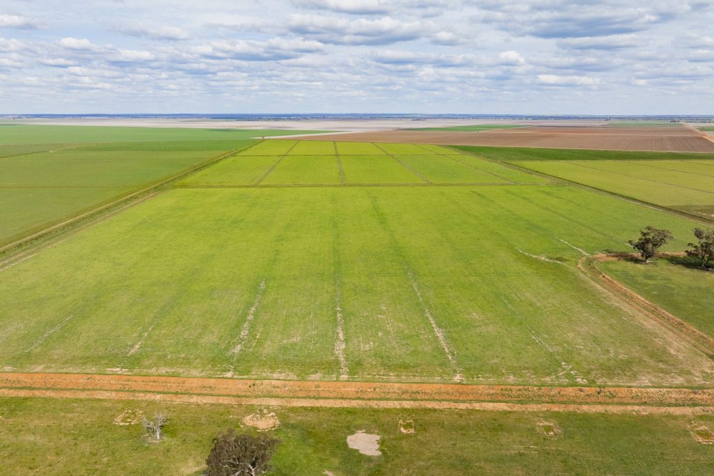 For Sale - 10755 Sturt Highway - New Property in Narrandera - Real Estate by Jason Haines