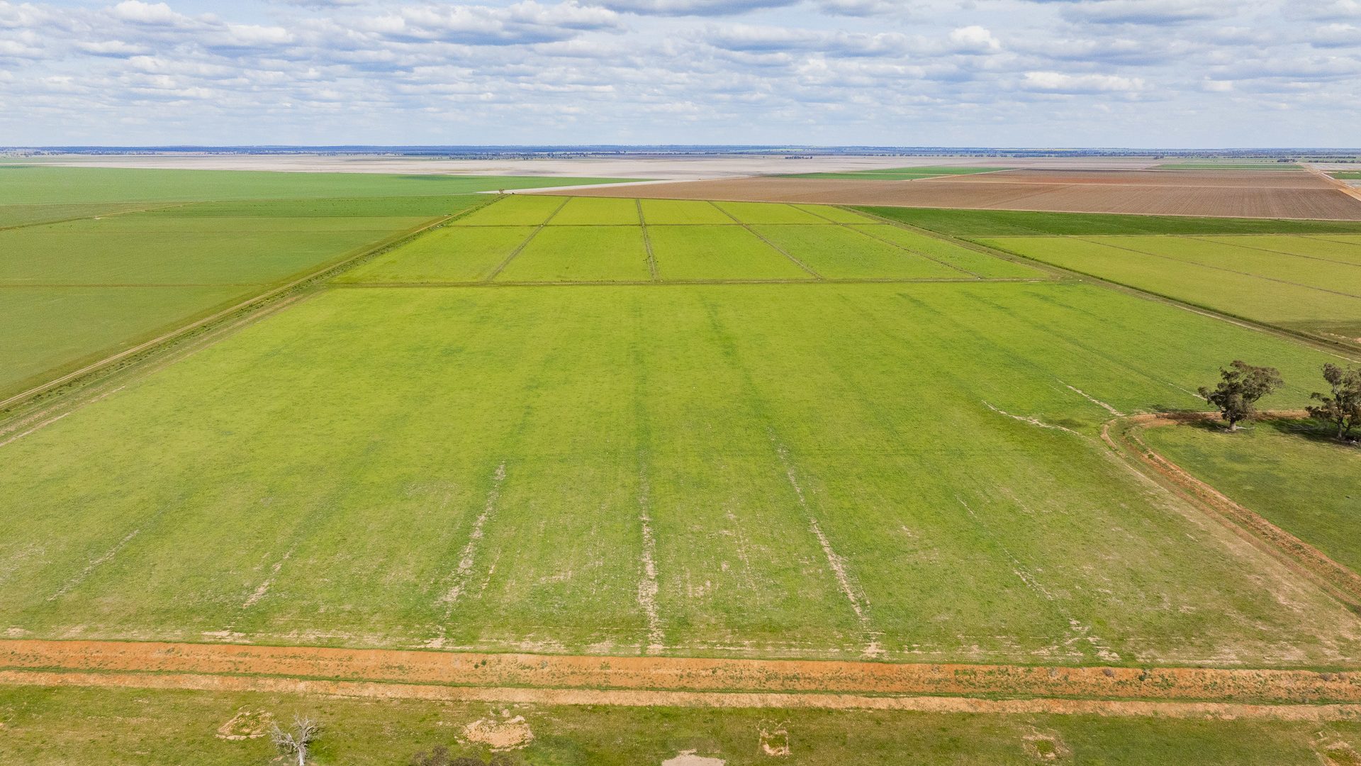 For Sale - 10755 Sturt Highway - New Property in Narrandera - Real Estate by Jason Haines