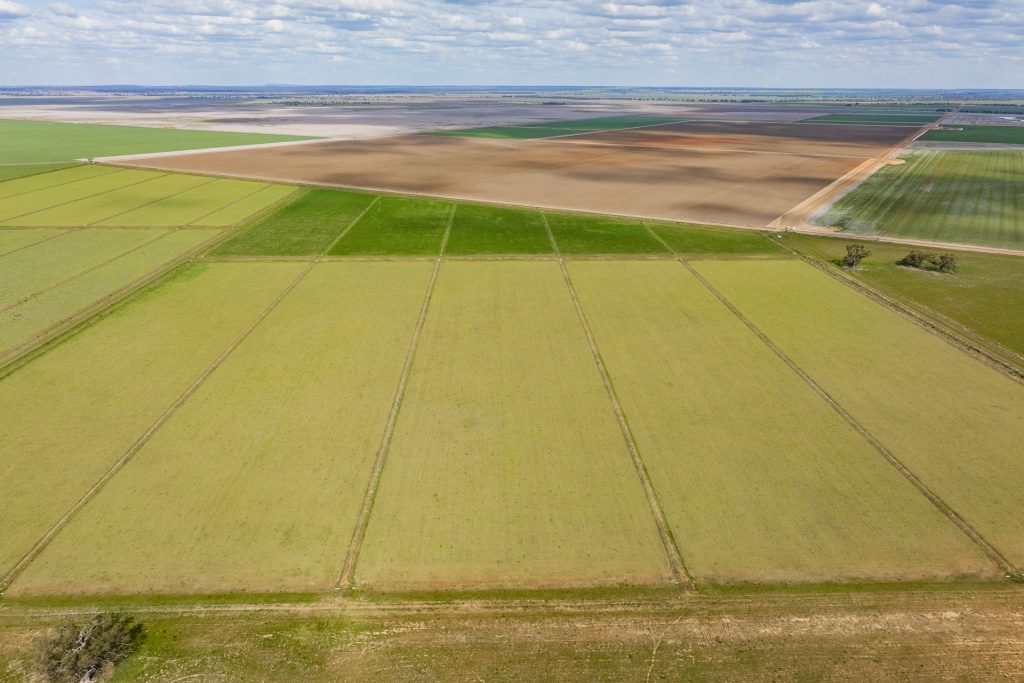 For Sale - 10755 Sturt Highway - New Property in Narrandera - Real Estate by Jason Haines