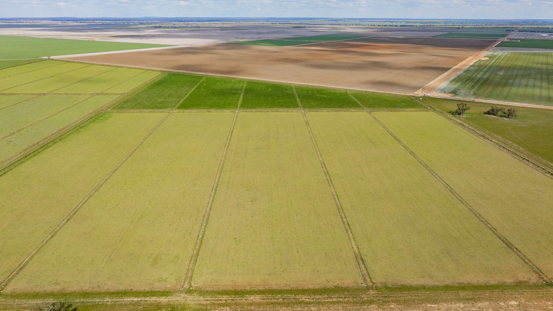 For Sale - 10755 Sturt Highway - New Property in Narrandera - Real Estate by Jason Haines