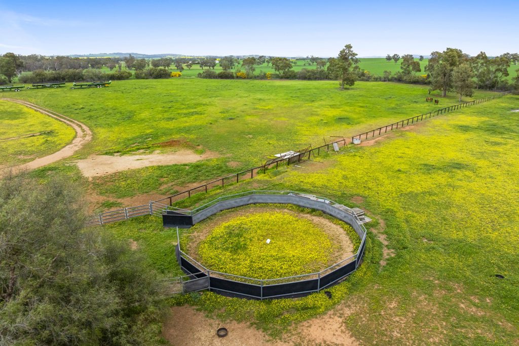 Sold - 153 Baylis Lane - New Property in Yathella - Real Estate by Andrew Pellow
