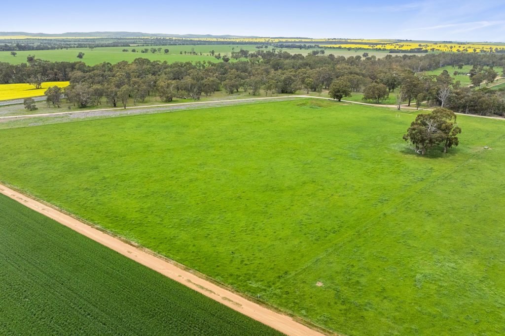 Sold - 153 Baylis Lane - New Property in Yathella - Real Estate by Andrew Pellow