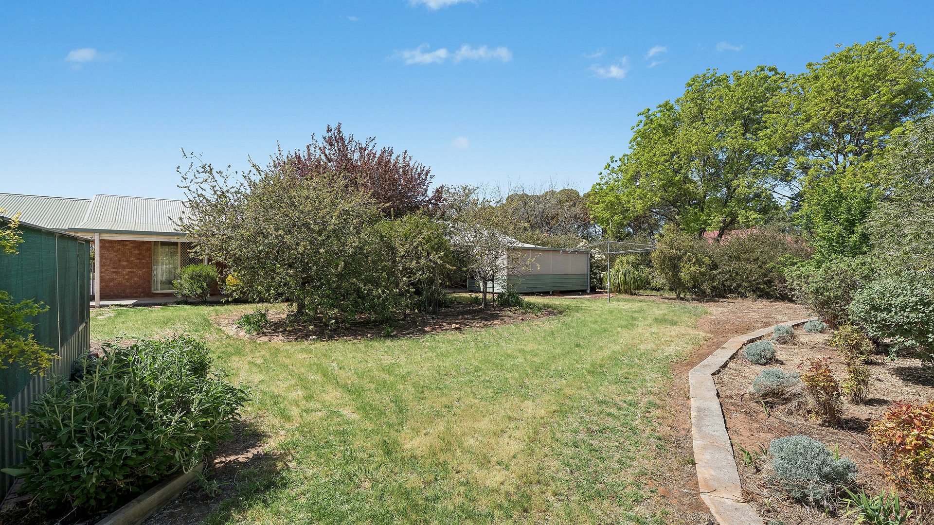 Sold - 10 Argyle Street - New Property in Leeton - Real Estate by Andrew Pellow