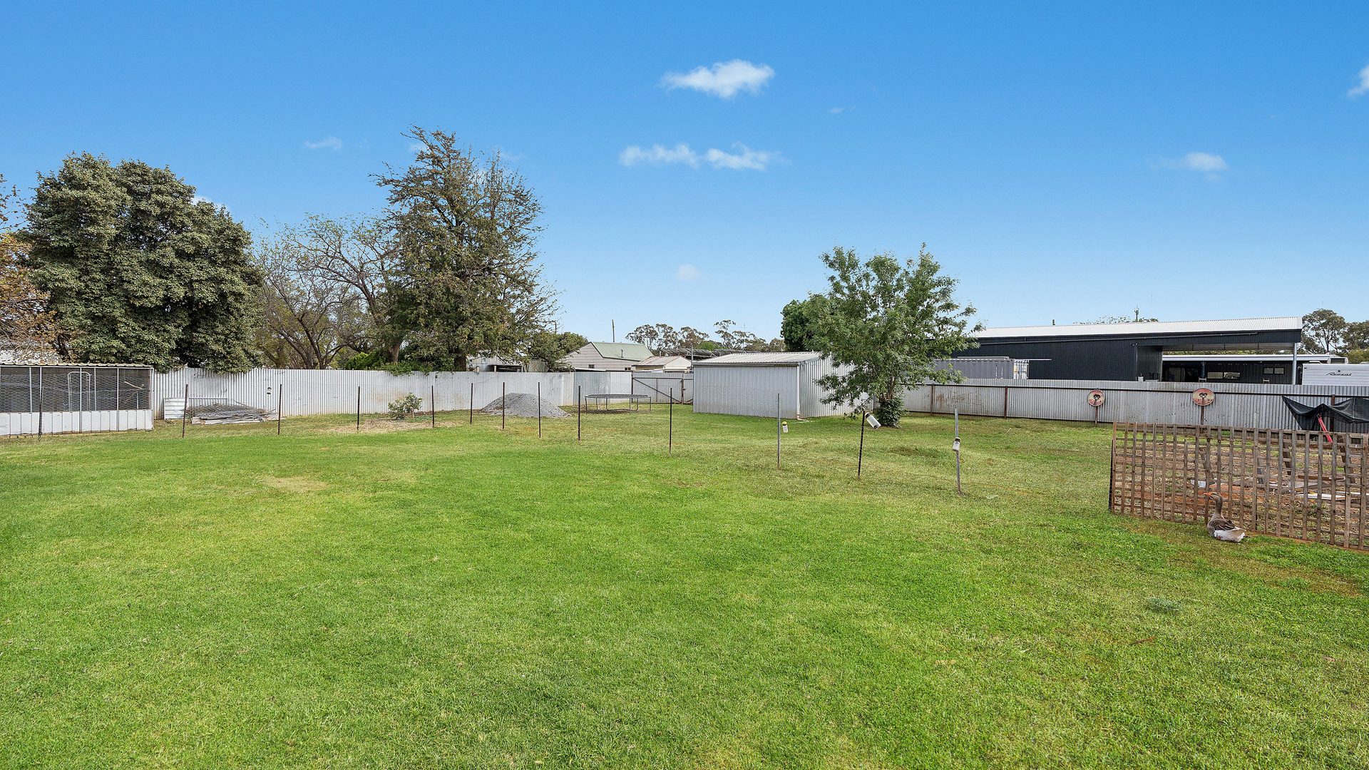 Sold - 37 Mulga Street - New Property in Barellan - Real Estate by Sophie Litchfield