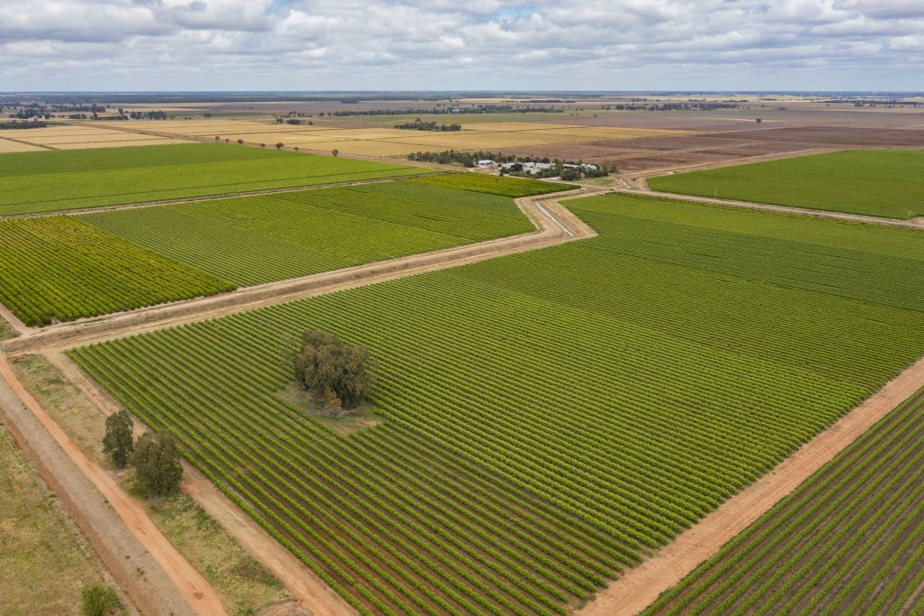 For Sale - 126 & 127 Yate Road - New Property in Leeton - Real Estate by Jason Haines