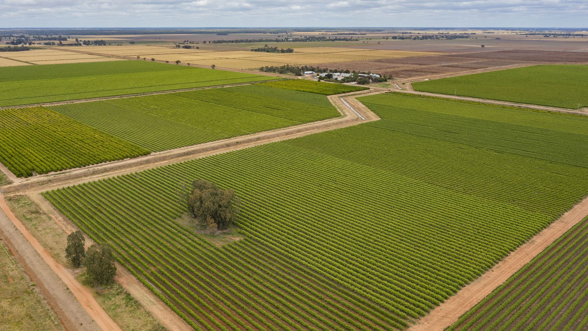 For Sale - 126 & 127 Yate Road - New Property in Leeton - Real Estate by Jason Haines