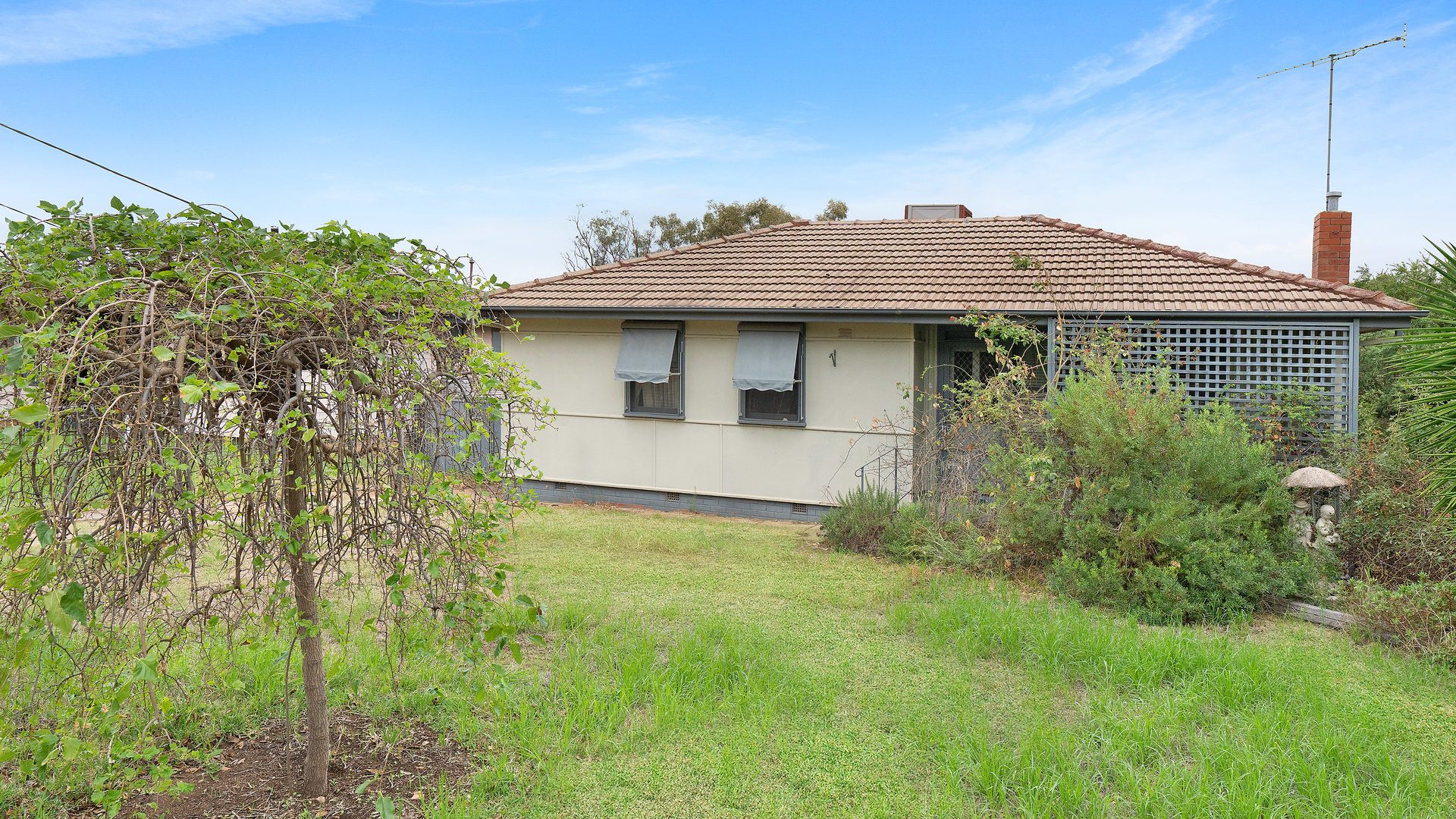 Sold - 20 Watermain Street - New Property in Narrandera - Real Estate by Leisa Williams