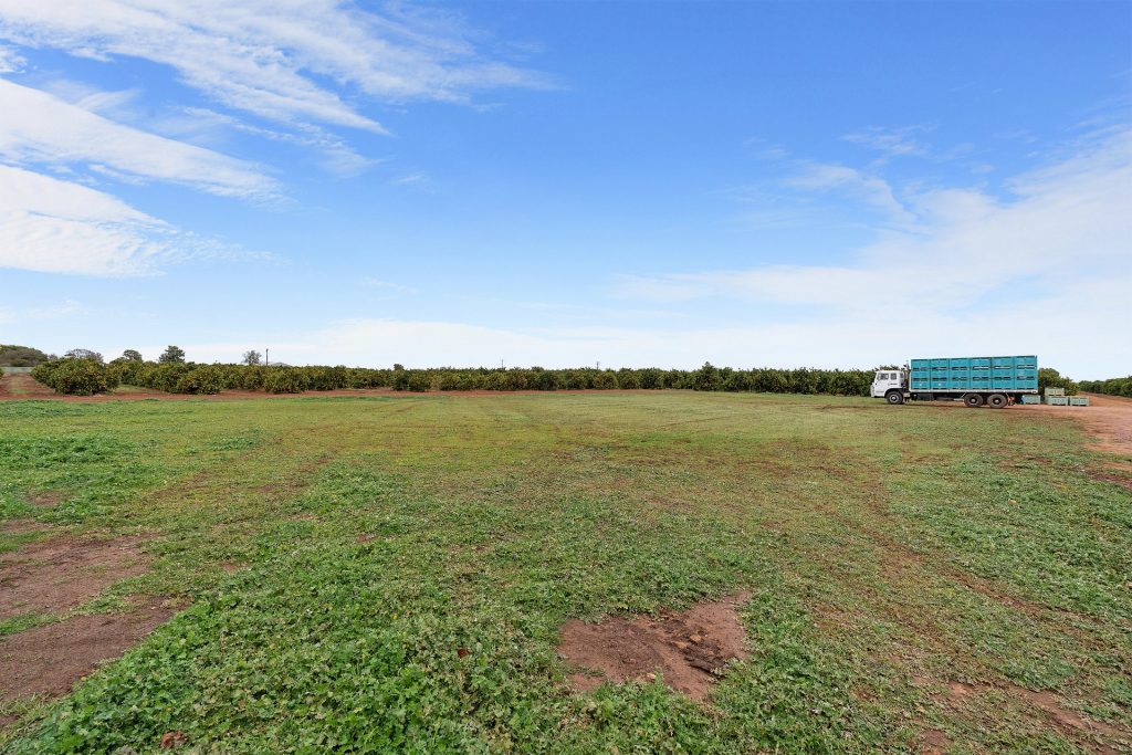 Sold - 8 Dempsey Road - New Property in Leeton - Real Estate by Sophie Litchfield