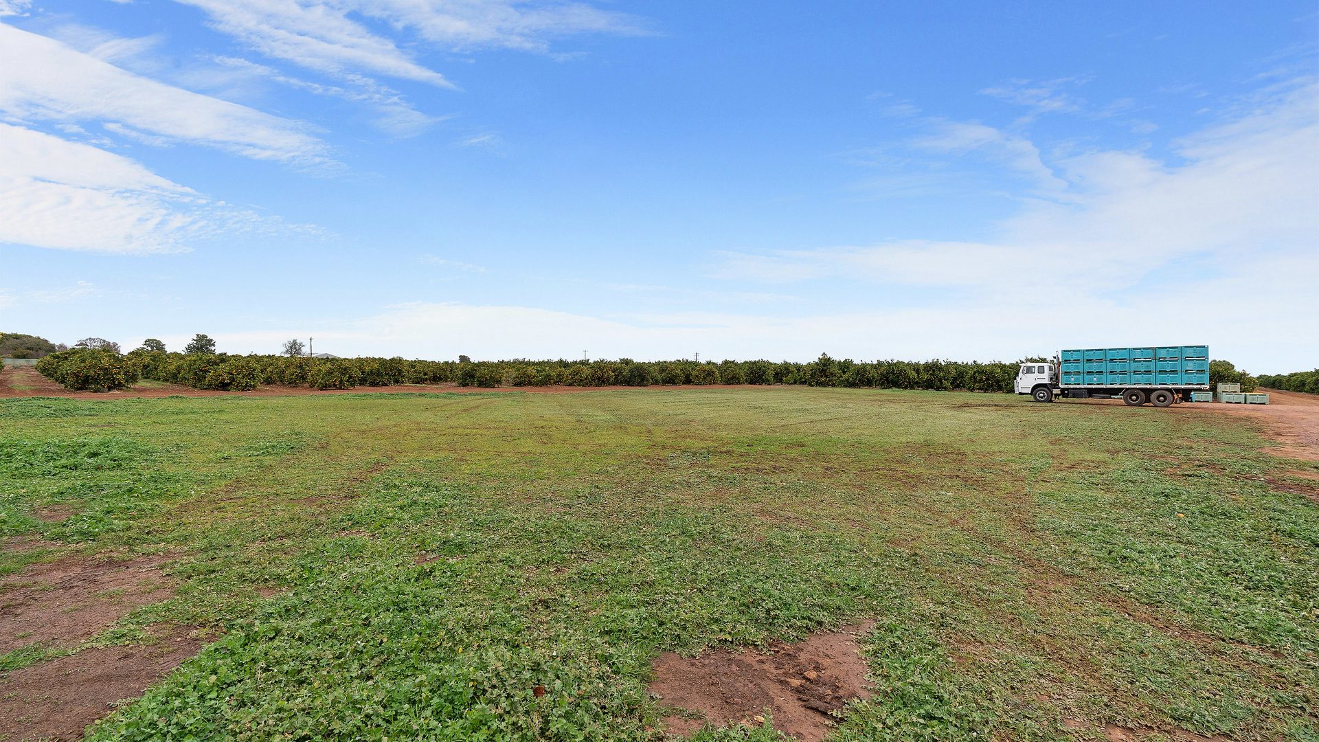 Sold - 8 Dempsey Road - New Property in Leeton - Real Estate by Sophie Litchfield