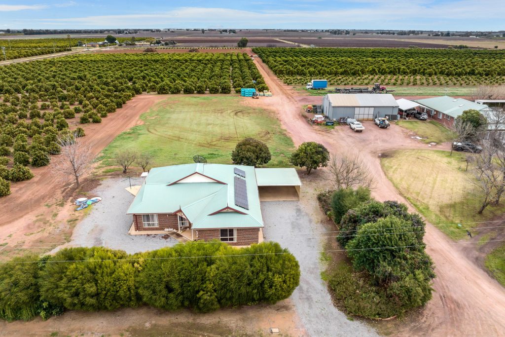 Sold - 8 Dempsey Road - New Property in Leeton - Real Estate by Sophie Litchfield