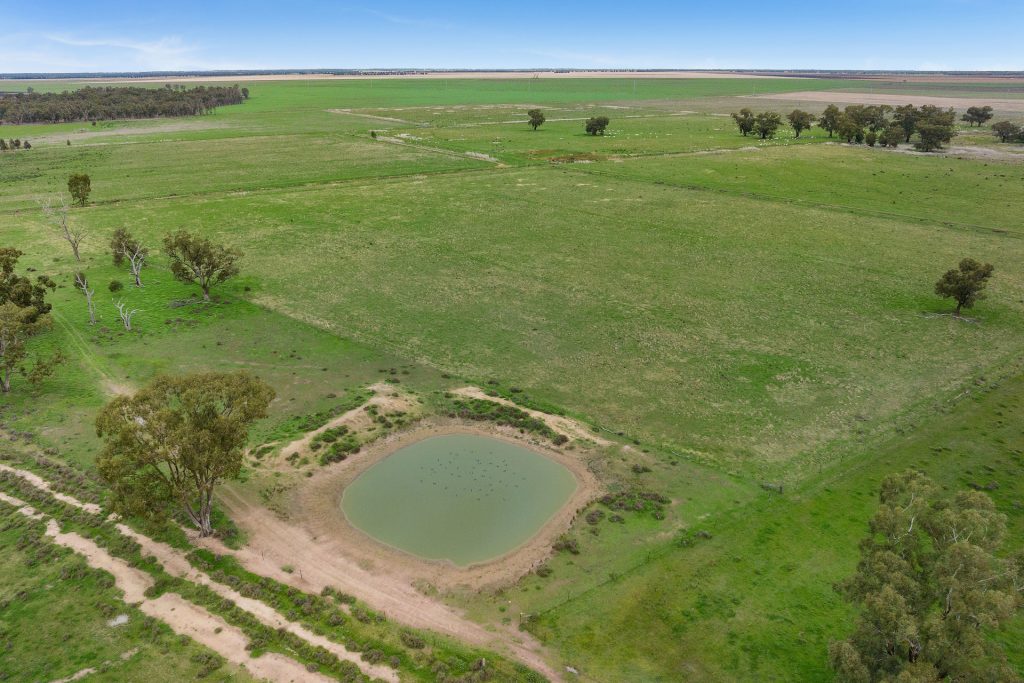 Sold - 10935 Sturt Highway - New Property in Narrandera - Real Estate by Jason Haines