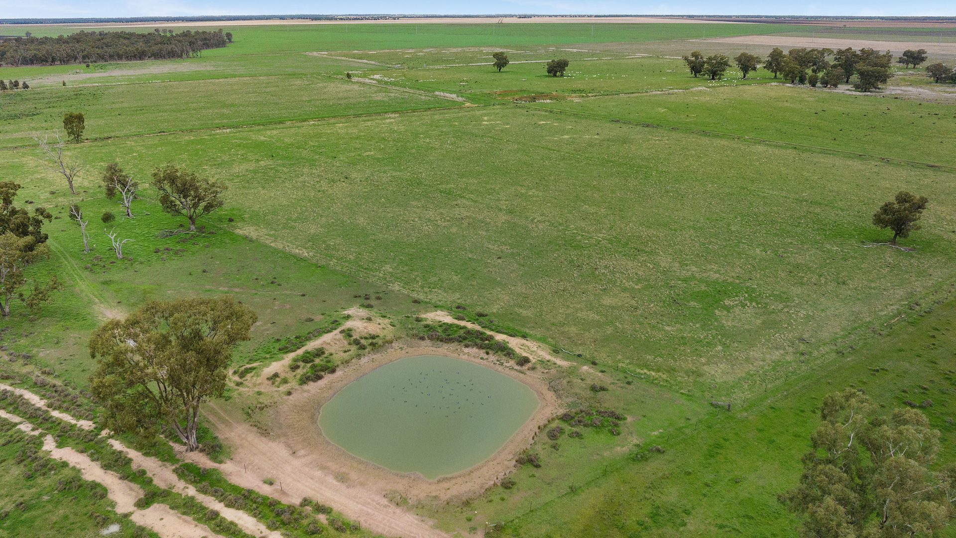 Sold - 10935 Sturt Highway - New Property in Narrandera - Real Estate by Jason Haines