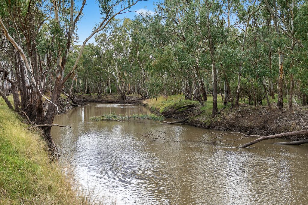 Sold - 10935 Sturt Highway - New Property in Narrandera - Real Estate by Jason Haines