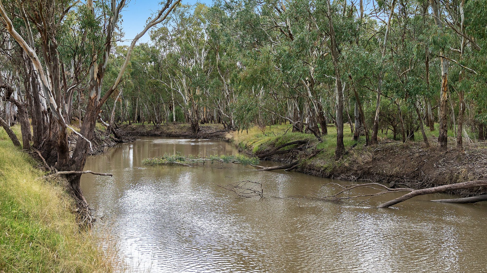 Sold - 10935 Sturt Highway - New Property in Narrandera - Real Estate by Jason Haines