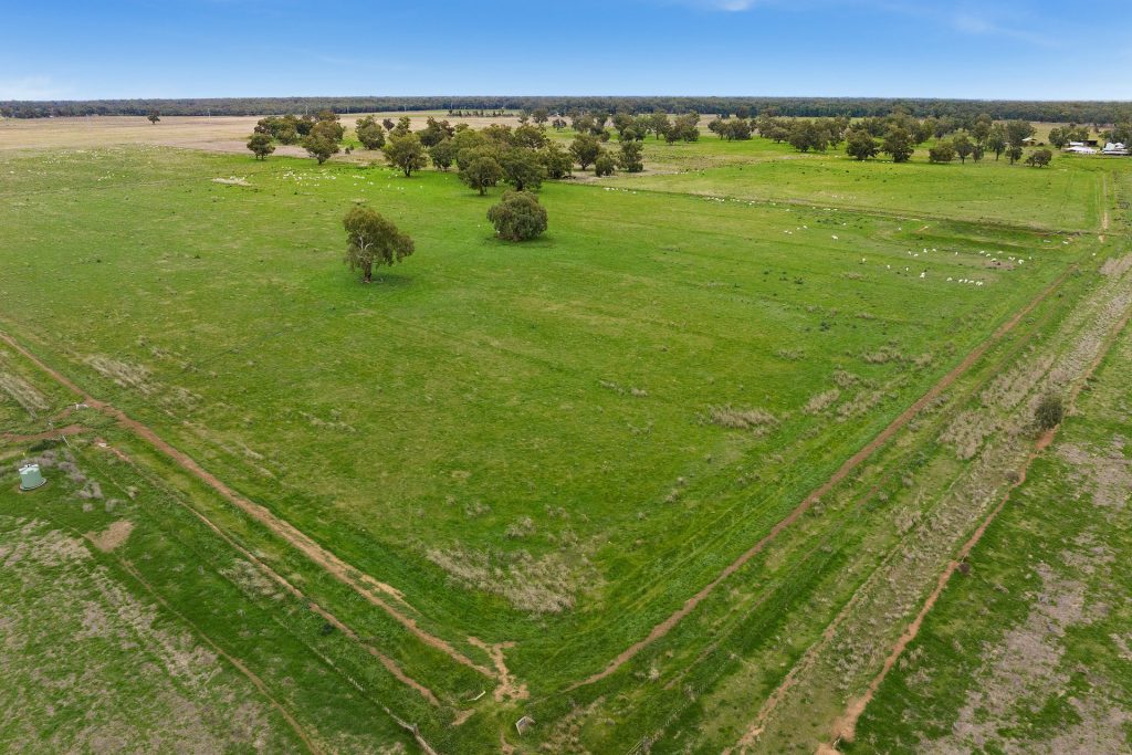 Sold - 10935 Sturt Highway - New Property in Narrandera - Real Estate by Jason Haines
