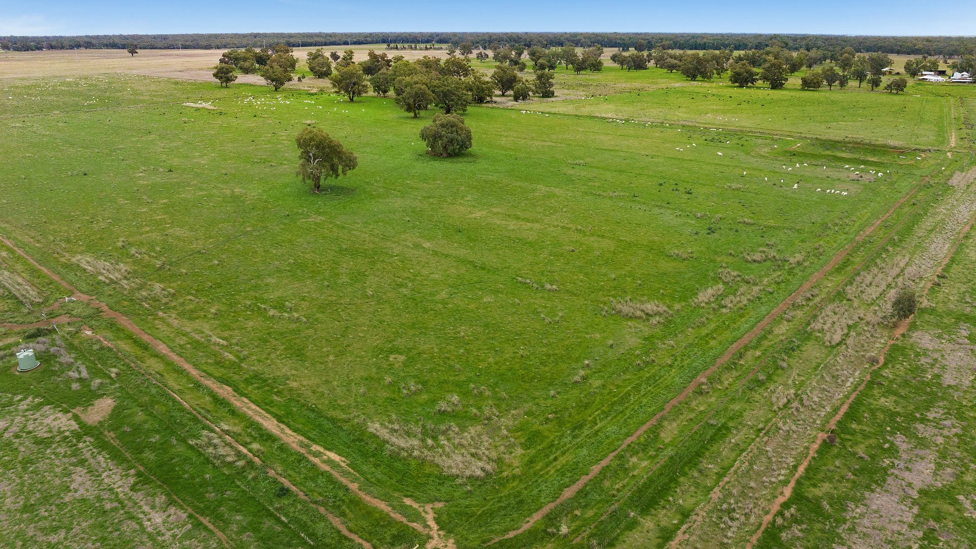 Sold - 10935 Sturt Highway - New Property in Narrandera - Real Estate by Jason Haines