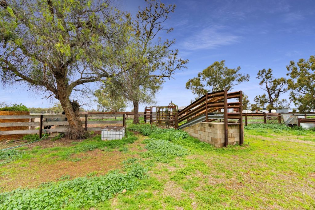 Sold - 10935 Sturt Highway - New Property in Narrandera - Real Estate by Jason Haines