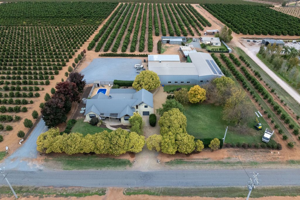For Sale - 45 Jackson Road - New Property in Leeton - Real Estate by Jason Haines
