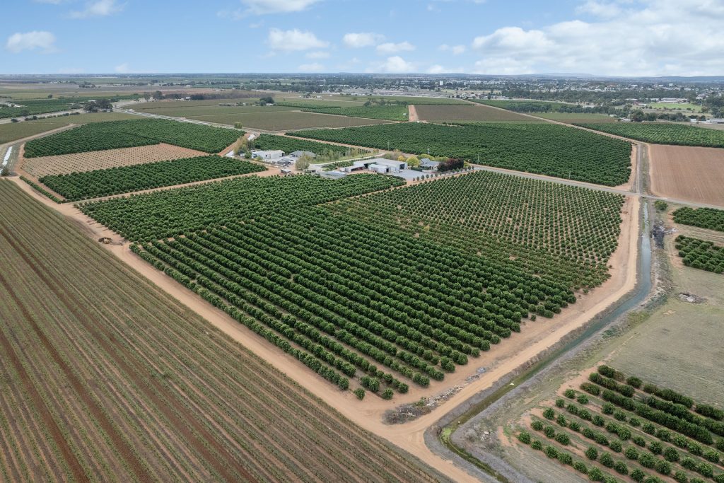 For Sale - 45 Jackson Road - New Property in Leeton - Real Estate by Jason Haines
