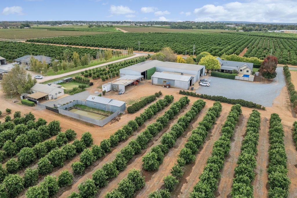For Sale - 45 Jackson Road - New Property in Leeton - Real Estate by Jason Haines