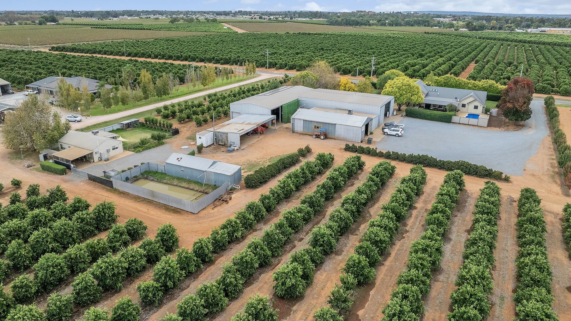 For Sale - 45 Jackson Road - New Property in Leeton - Real Estate by Jason Haines