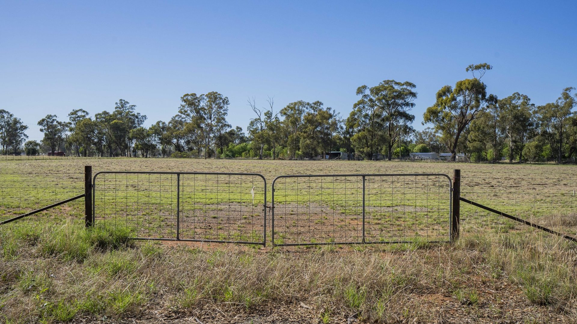 Sold - 43 Dullah Road - New Property in Ganmain - Real Estate by Andrew Pellow