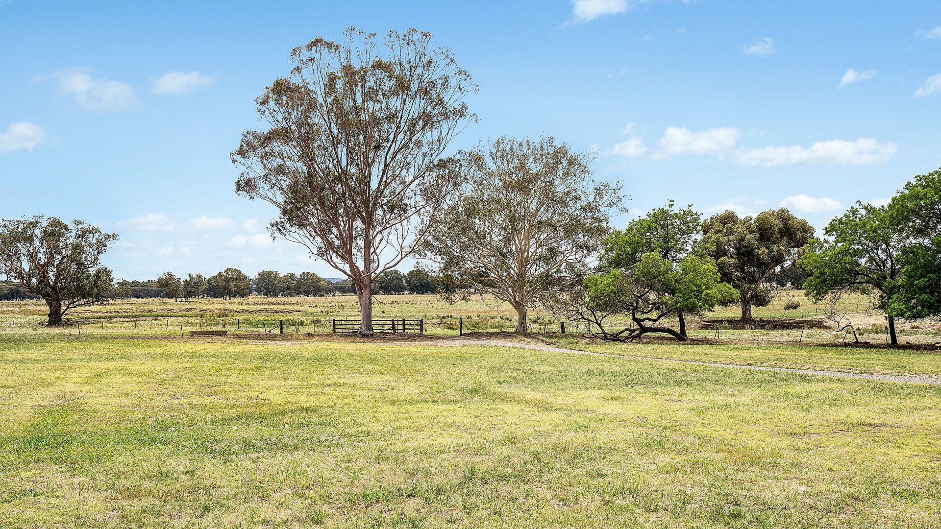 For Sale - 301 Boiling Down Road - New Property in Rowan - Real Estate by Andrew Pellow