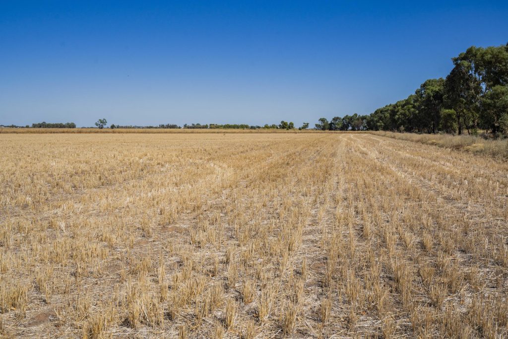 For Sale - 102 Murrami Road - New Property in Murrami - Real Estate by Jason Haines