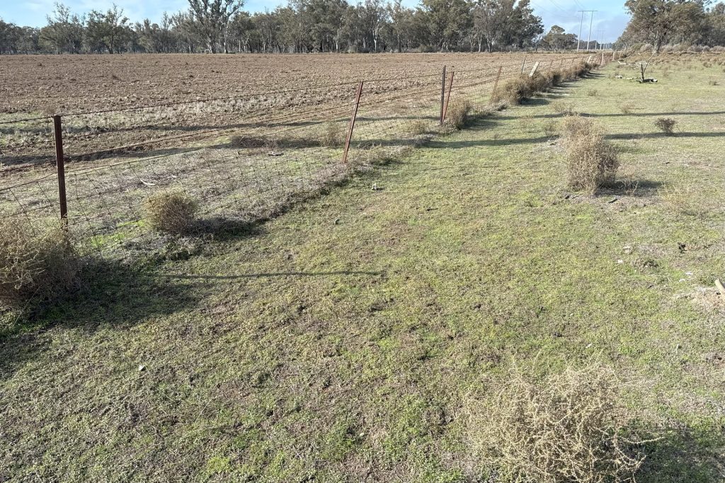 Sold - 2 Landrace Road - New Property in Forbes - Real Estate by Ian Simpson