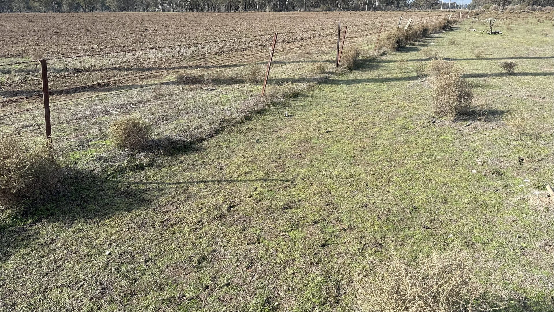 Sold - 2 Landrace Road - New Property in Forbes - Real Estate by Ian Simpson