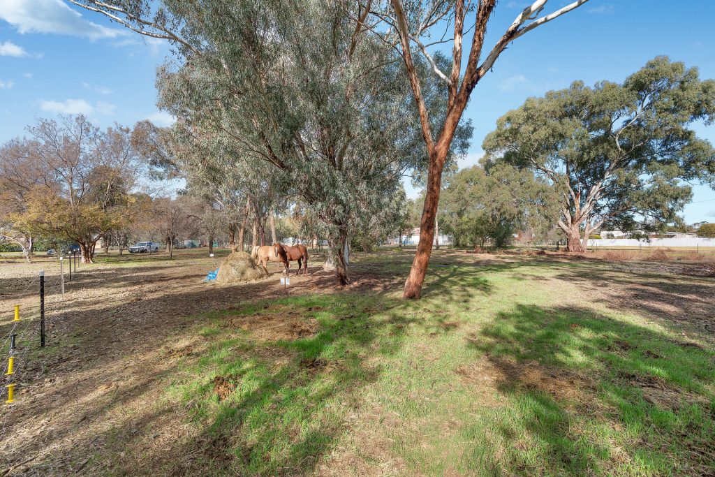 Sold - 2 Martin Street - New Property in Stockinbingal - Real Estate by Lachlan Pellow