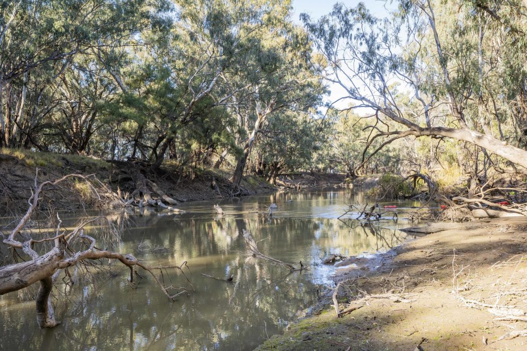 For Sale - 4007 Kiacatoo Road - New Property in Condobolin - Real Estate by Craig Pellow
