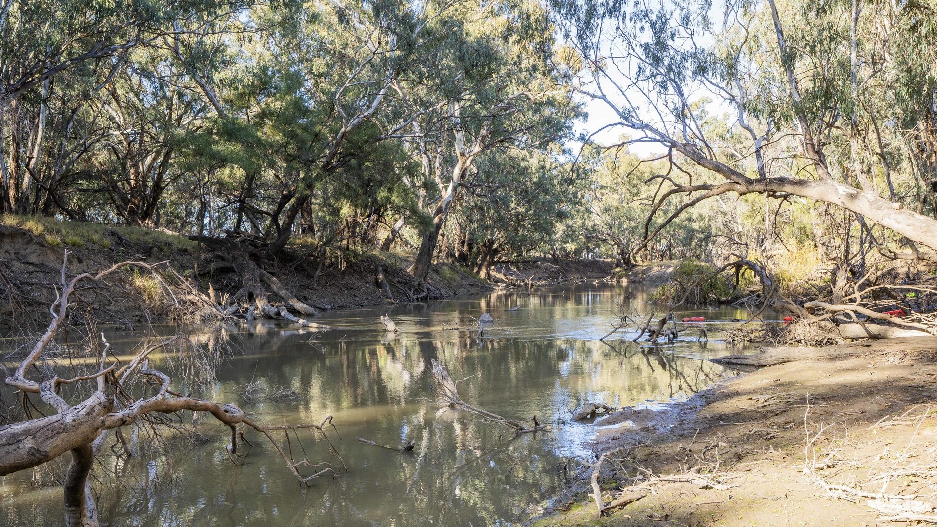For Sale - 4007 Kiacatoo Road - New Property in Condobolin - Real Estate by Craig Pellow