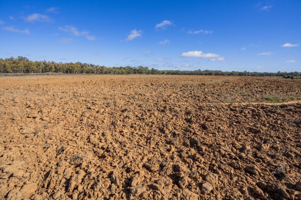 For Sale - 4007 Kiacatoo Road - New Property in Condobolin - Real Estate by Craig Pellow