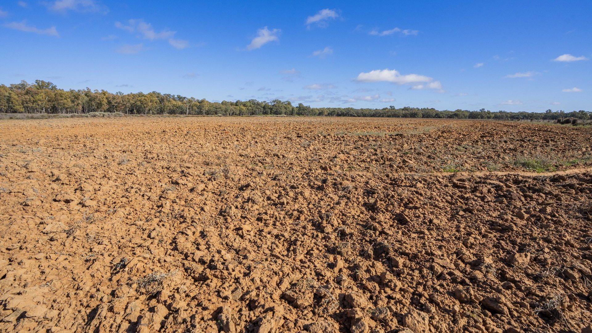 For Sale - 4007 Kiacatoo Road - New Property in Condobolin - Real Estate by Craig Pellow