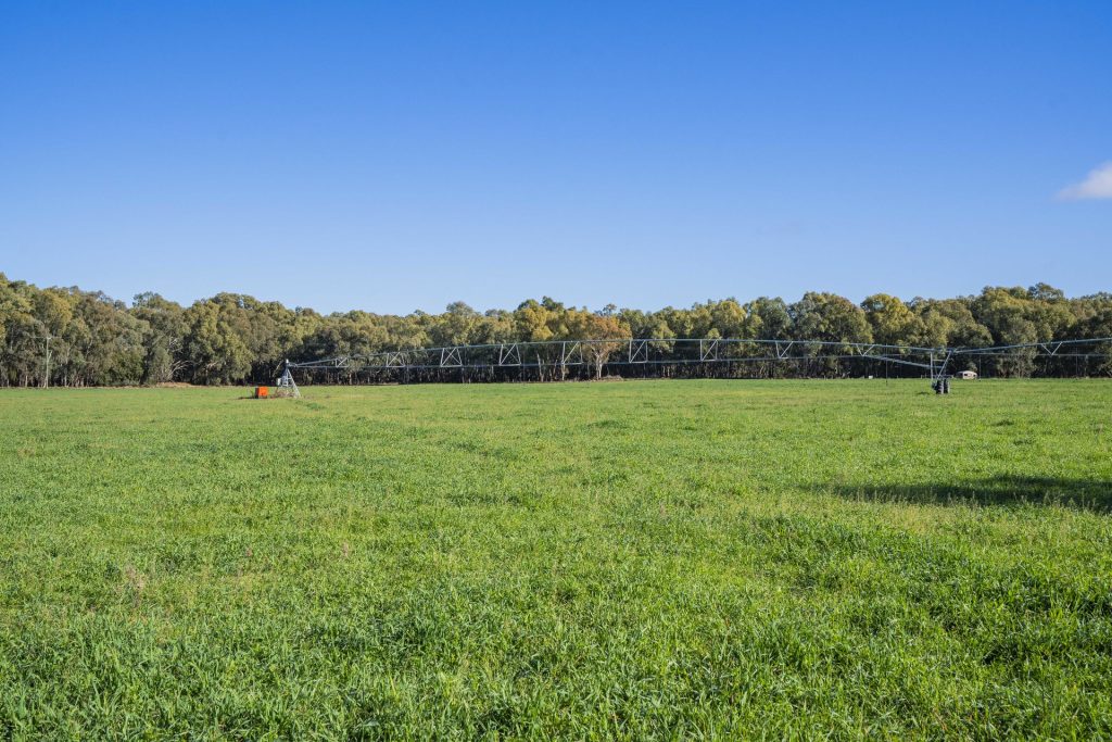 For Sale - 4007 Kiacatoo Road - New Property in Condobolin - Real Estate by Craig Pellow