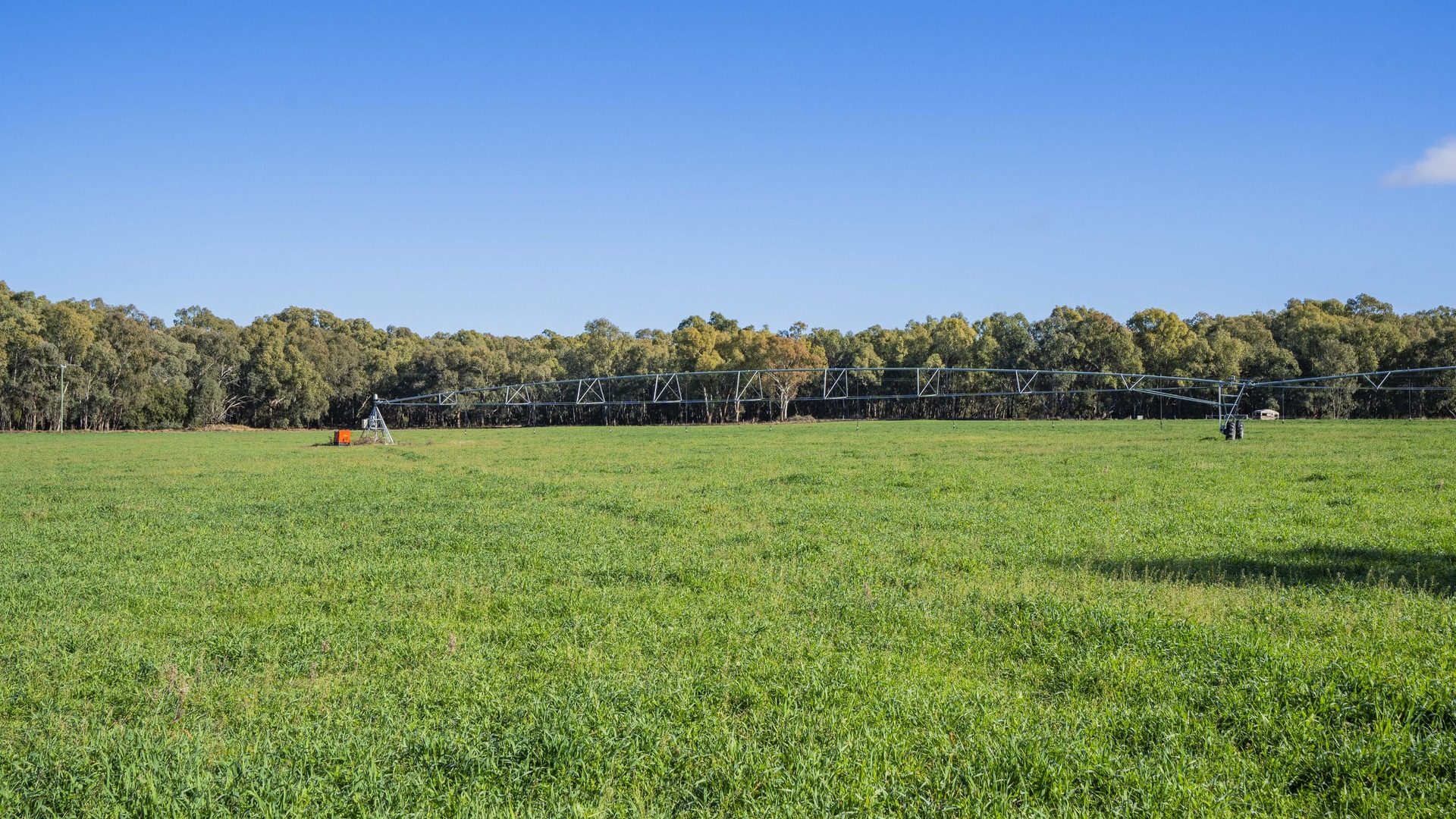 For Sale - 4007 Kiacatoo Road - New Property in Condobolin - Real Estate by Craig Pellow