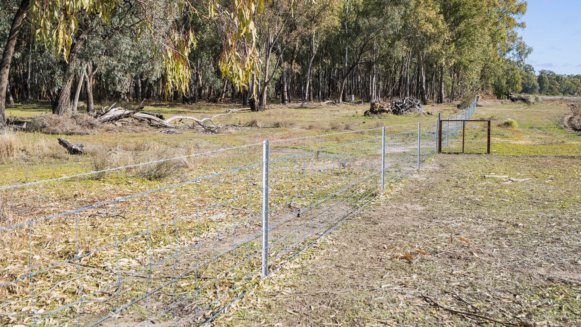 For Sale - 4007 Kiacatoo Road - New Property in Condobolin - Real Estate by Craig Pellow