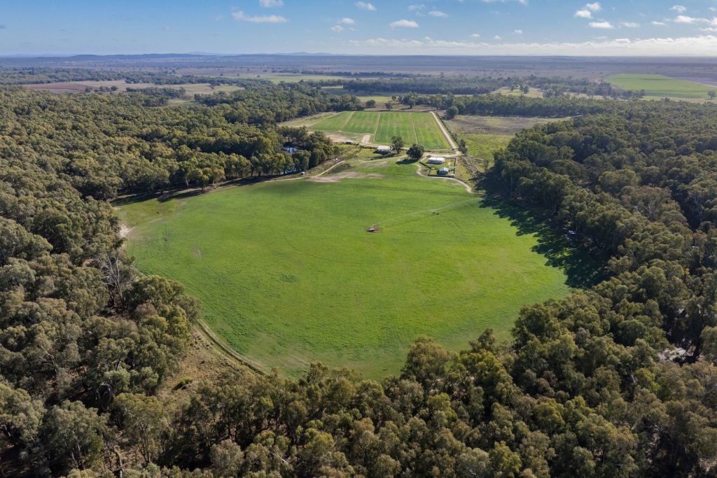 For Sale - 4007 Kiacatoo Road - New Property in Condobolin - Real Estate by Craig Pellow
