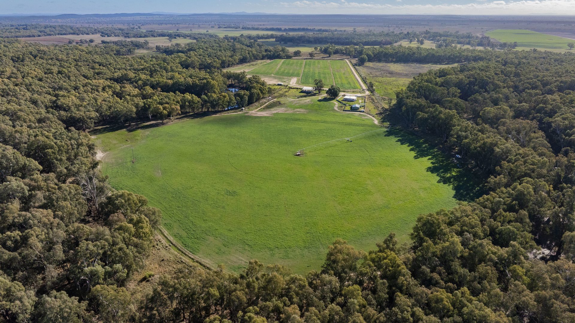 For Sale - 4007 Kiacatoo Road - New Property in Condobolin - Real Estate by Craig Pellow