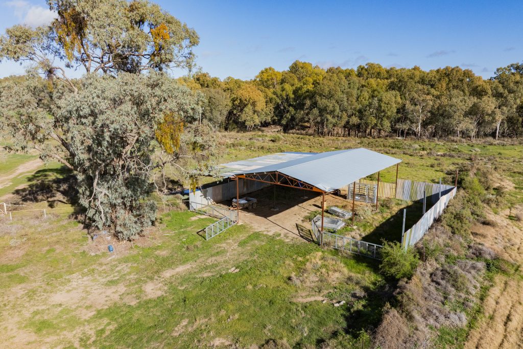 For Sale - 4007 Kiacatoo Road - New Property in Condobolin - Real Estate by Craig Pellow