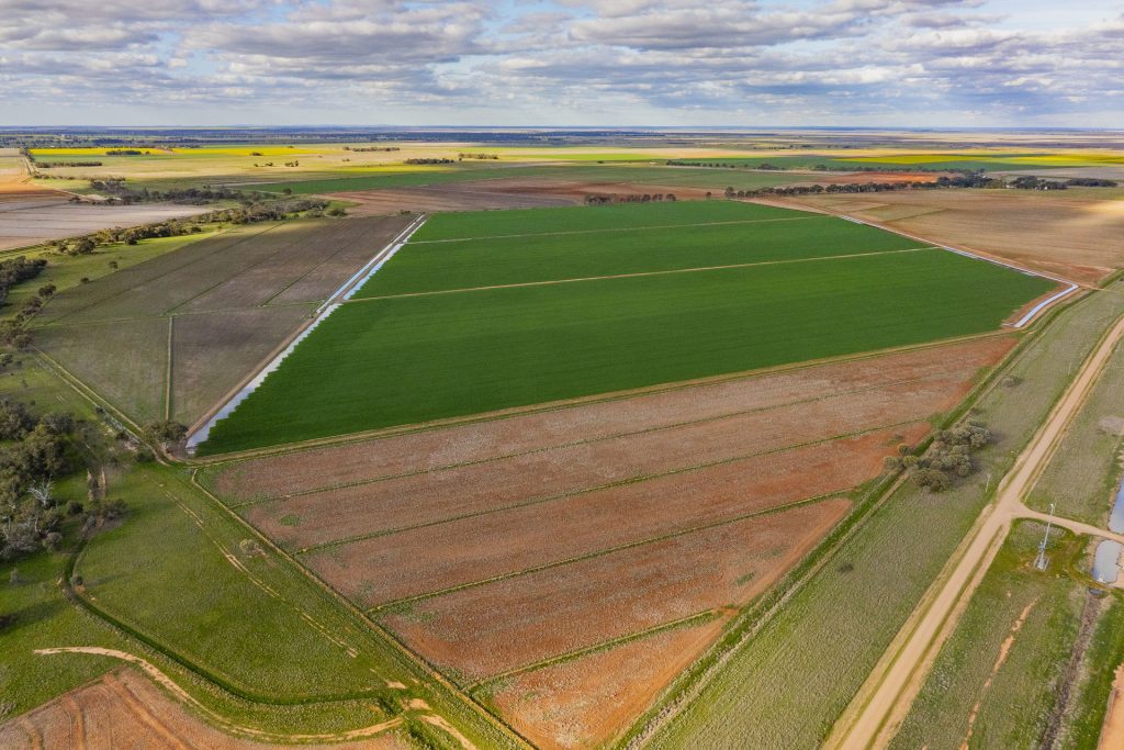 For Sale - 606 Glenn Road - New Property in Coleambally - Real Estate by Jason Haines