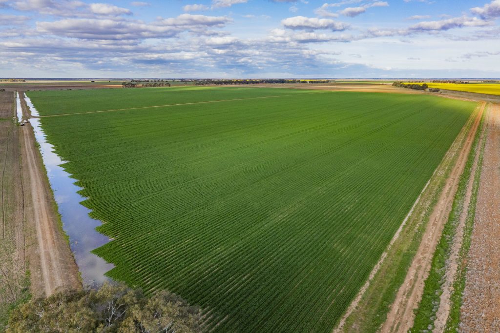 For Sale - 606 Glenn Road - New Property in Coleambally - Real Estate by Jason Haines