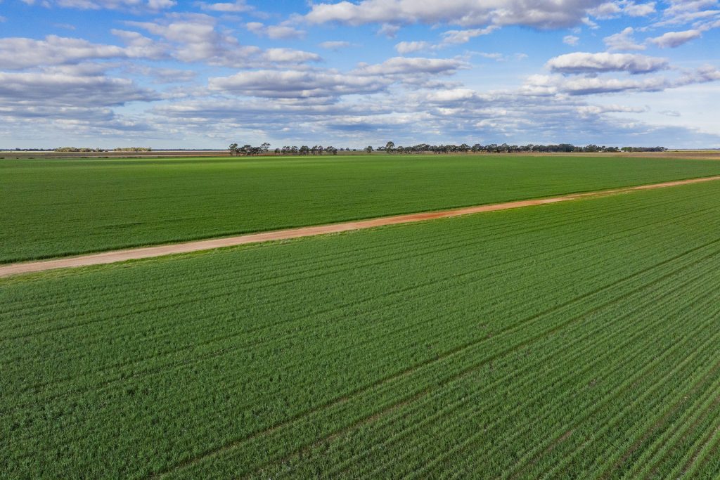 For Sale - 606 Glenn Road - New Property in Coleambally - Real Estate by Jason Haines
