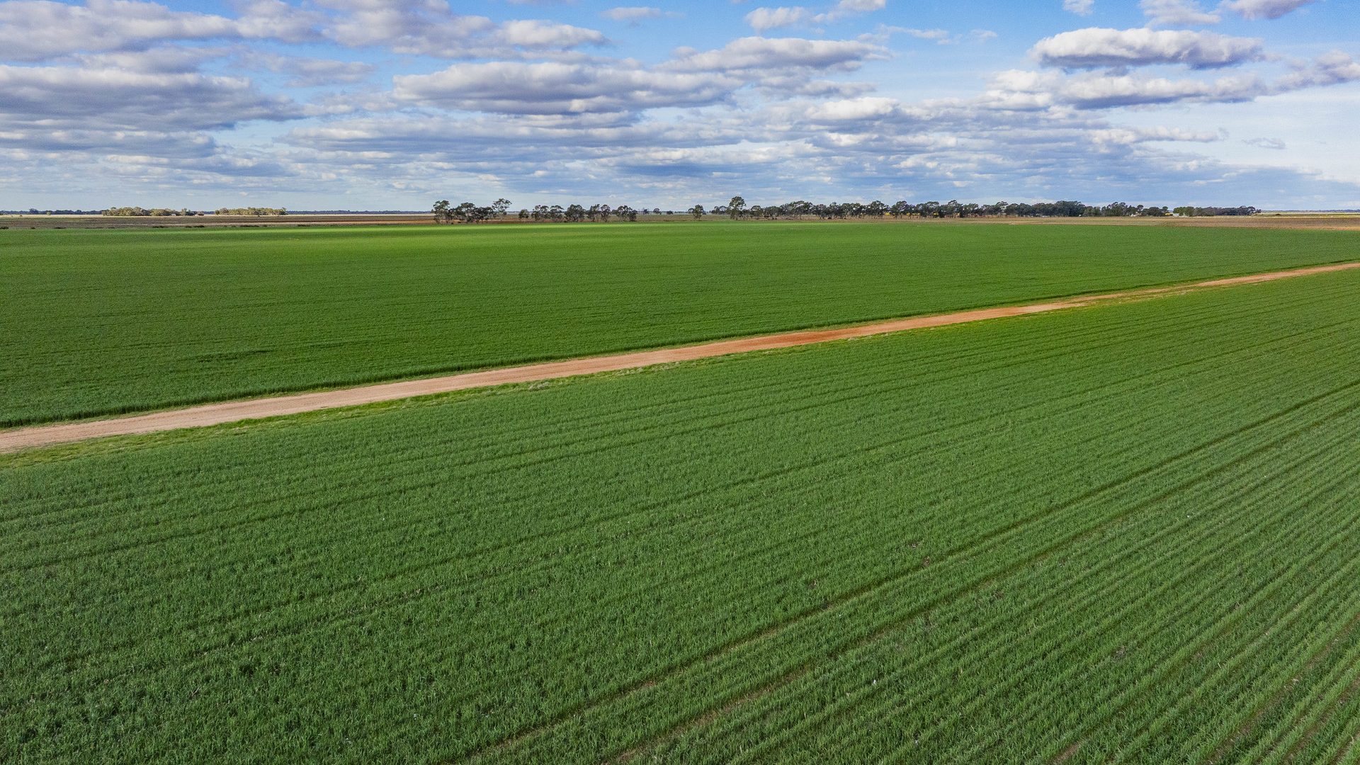 For Sale - 606 Glenn Road - New Property in Coleambally - Real Estate by Jason Haines