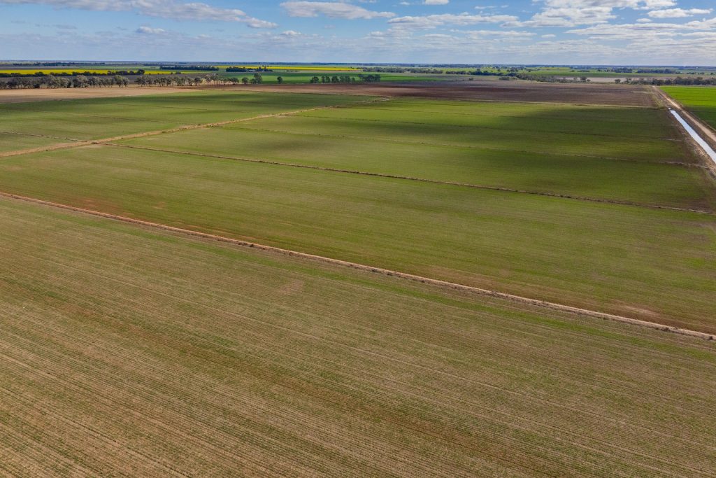 For Sale - 606 Glenn Road - New Property in Coleambally - Real Estate by Jason Haines