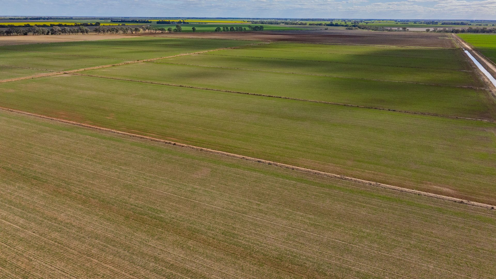 For Sale - 606 Glenn Road - New Property in Coleambally - Real Estate by Jason Haines