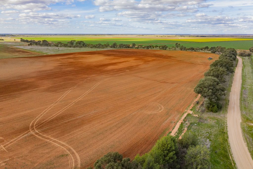 For Sale - 606 Glenn Road - New Property in Coleambally - Real Estate by Jason Haines