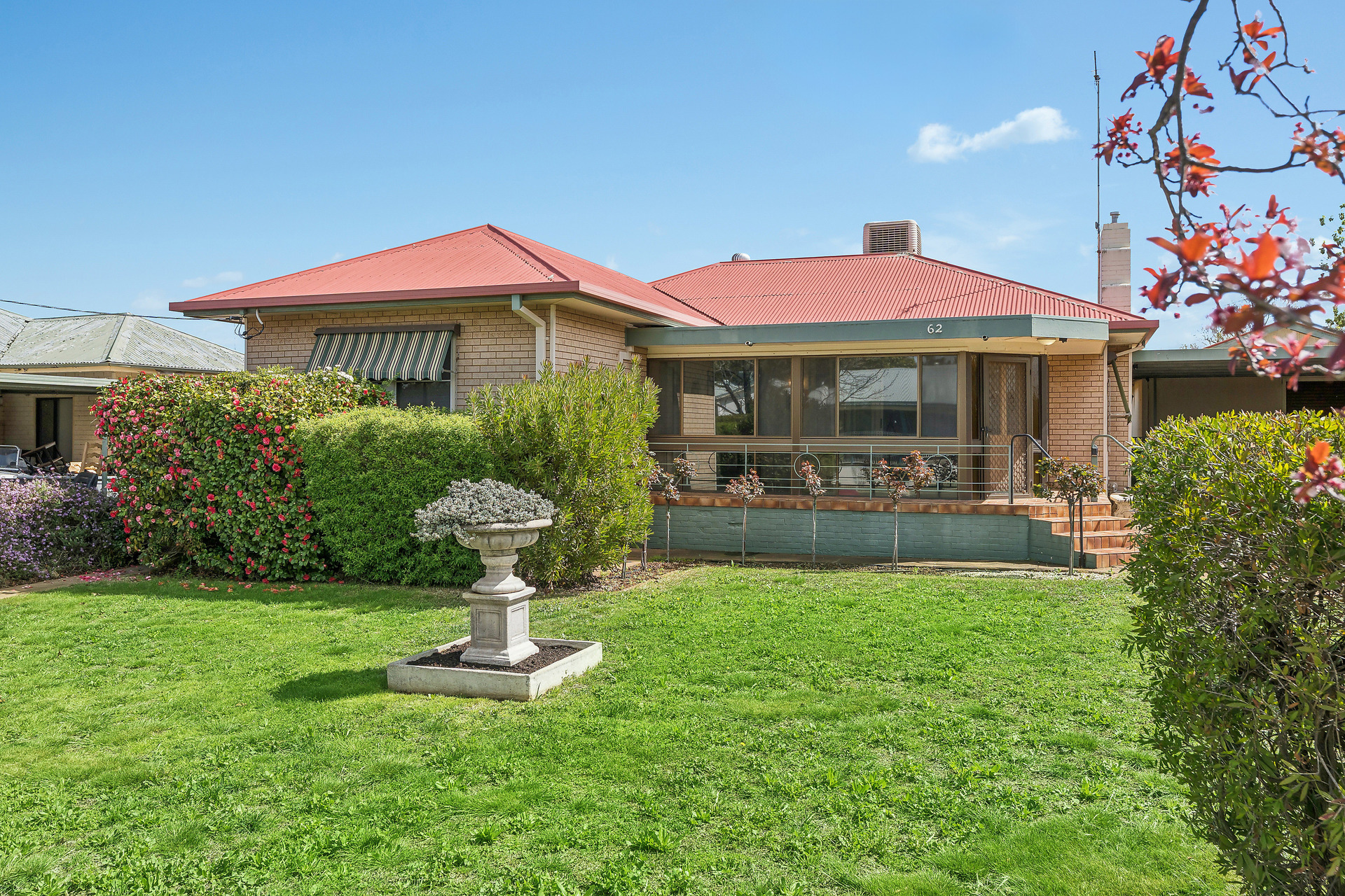 temora