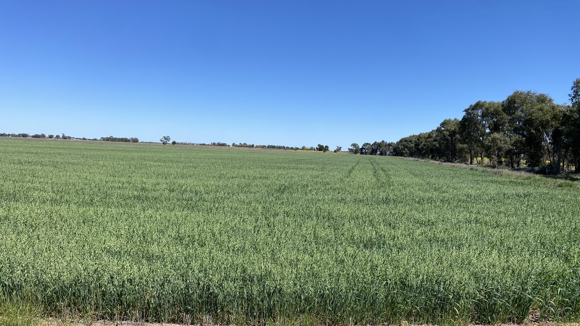 For Sale - 102 Murrami Road - New Property in Murrami - Real Estate by Jason Haines